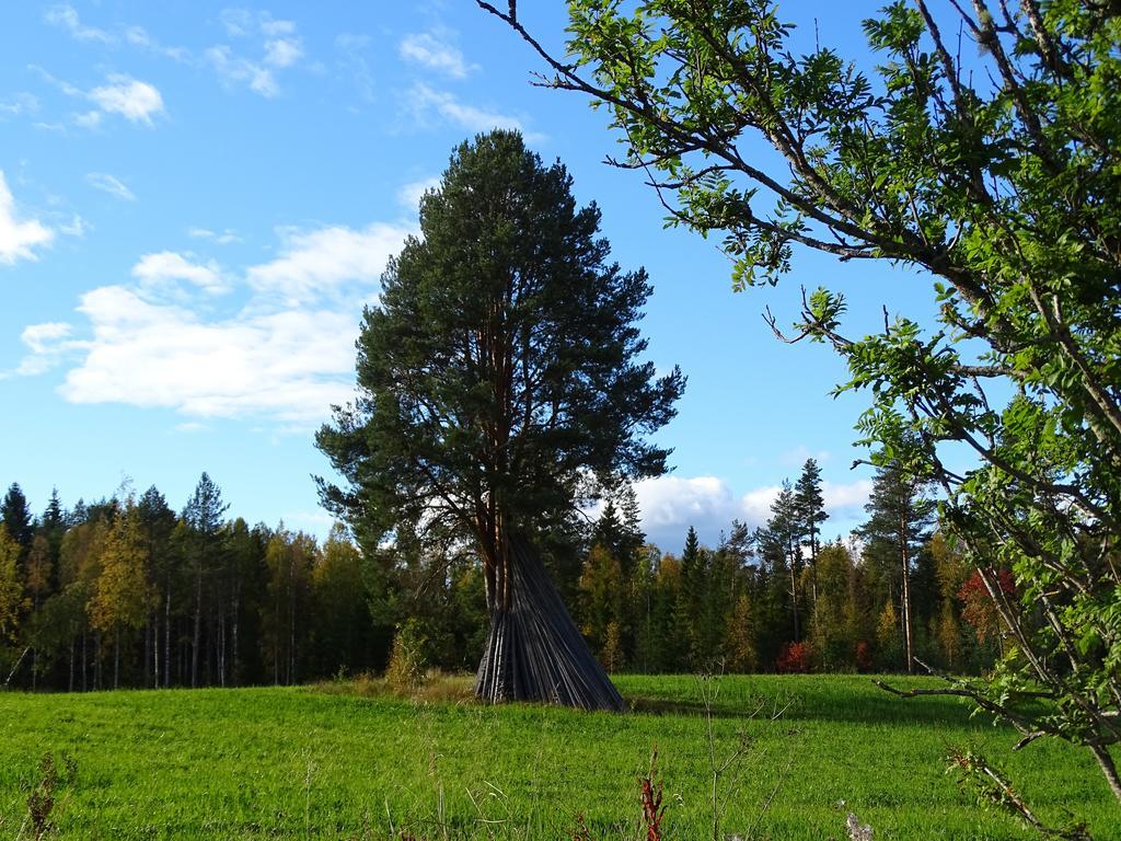 Viking Trails Outdoor & Accommodations Rättvik Eksteriør billede